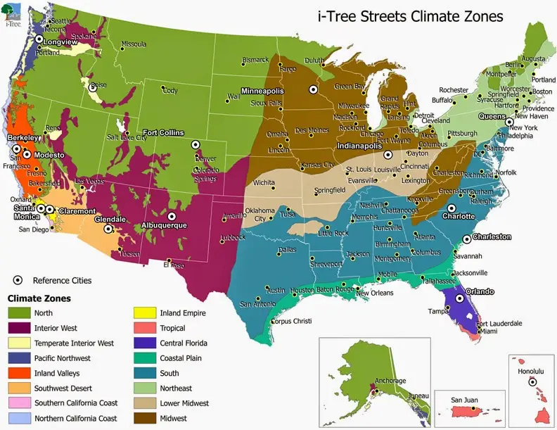 How Climate Affects Vehicle Maintenance across Different U.S. Regions